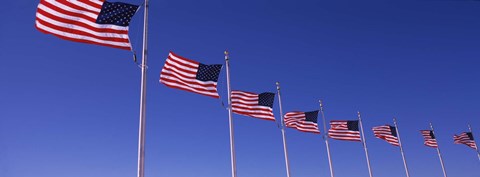 Framed Low angle view of American flags, Washington Monument, Washington DC, USA Print