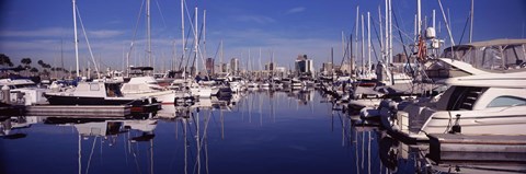 Framed Sailboats at a harbor, Long Beach, Los Angeles County, California, USA Print