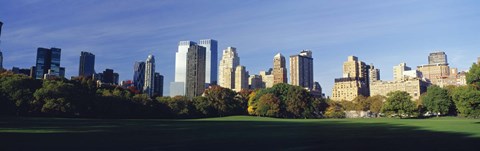 Framed Skyscrapers in a city, Central Park, Manhattan, New York City, New York State, USA 2010 Print