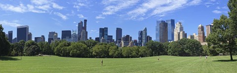 Framed Park with skyscrapers in the background, Sheep Meadow, Central Park, Manhattan, New York City, New York State, USA Print