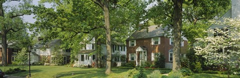 Framed Facade Of Houses, Broadmoor Ave, Baltimore City, Maryland, USA Print