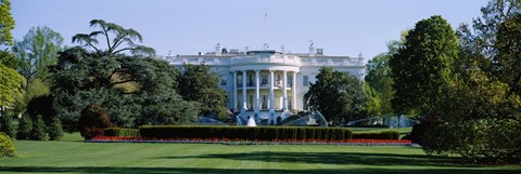 Framed Lawn in front of a government building, White House, Washington DC, USA Print