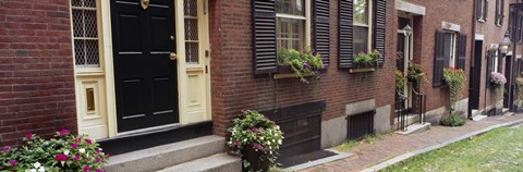 Framed Potted plants outside a house, Acorn Street, Beacon Hill, Boston, Massachusetts, USA Print