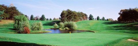 Framed Pond at a golf course, Baltimore Country Club, Baltimore, Maryland, USA Print