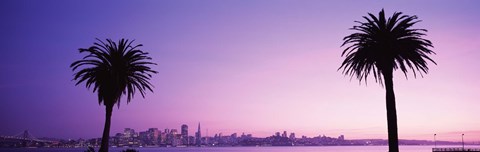 Framed San Francisco skyline between 2 palm trees, California Print