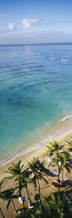 Framed High angle view of palm trees with beach umbrellas on the beach, Waikiki Beach, Honolulu, Oahu, Hawaii, USA Print