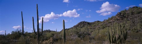 Framed Desert Road AZ Print