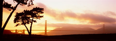Framed Silhouette of trees at sunset, Golden Gate Bridge, San Francisco, California, USA Print