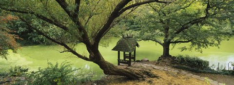 Framed Trees near a pond, Central Park, Manhattan, New York City, New York State, USA Print