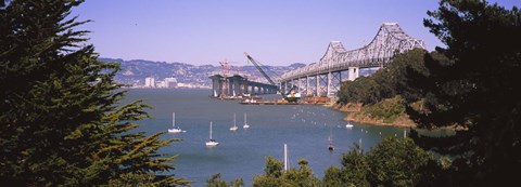 Framed Cranes at a bridge construction site, Bay Bridge, San Francisco, California Print