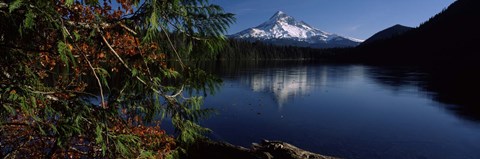 Framed Reflection of a mountain in a lake, Mt Hood, Lost Lake, Mt. Hood National Forest, Hood River County, Oregon, USA Print