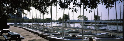 Framed Boats moored at a dock, Charles River, Boston, Suffolk County, Massachusetts, USA Print