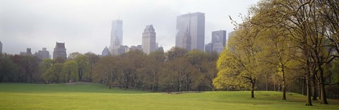 Framed Foggy view of trees and buildings, Central Park, Manhattan, New York City, New York State, USA Print