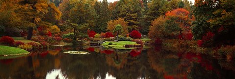 Framed Reflection of trees in water, Japanese Tea Garden, Golden Gate Park, Asian Art Museum, San Francisco, California, USA Print