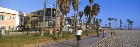 Framed People riding bicycles near a beach, Venice Beach, City of Los Angeles, California, USA Print