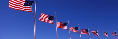 Framed Low angle view of American flags, Washington Monument, Washington DC, USA Print