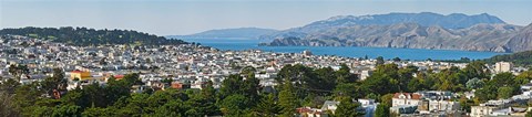 Framed High angle view of a city, Richmond District, Lincoln Park, San Francisco, California, USA Print
