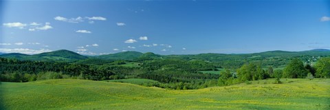 Framed Farm, Peacham, Vermont, USA Print