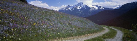 Framed Road Through Hillside, Zillertaler, Austria Print