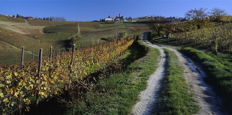 Framed Italy, Piemont, road Print