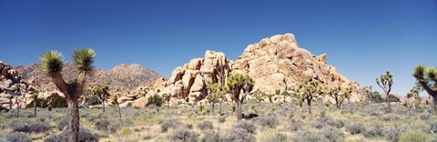 Framed Rock Formation In A Arid Landscape, Joshua Tree National Monument, California, USA Print