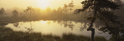 Framed Reflection of trees in a lake, Vastmanland, Sweden Print