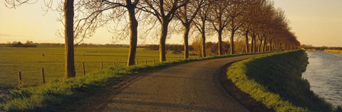 Framed Winding Road, Trees, Oudendijk, Netherlands Print