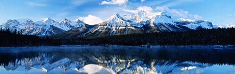 Framed Herbert Lake, Banff National Park, Alberta, Canada Print
