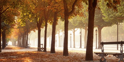 Framed France, Paris, Champs Elysees Print