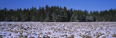 Framed Rocks in snow covered landscape, Hickory Run State Park, Pocono Mountains, Pennsylvania, USA Print