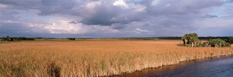 Framed USA, Florida, Big Cypress National Preserve along Tamiami Trail Everglades National Park Print