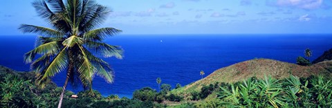 Framed Pigeon Point Tobago Print