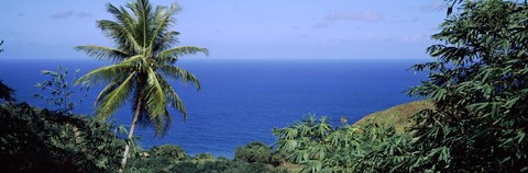 Framed Palm trees on the coast, Tobago, Trinidad And Tobago Print