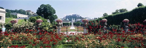 Framed Flowers in a formal garden, Mirabell Gardens, Salzburg, Salzkammergut, Austria Print