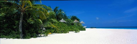 Framed Beach in The Maldives Print