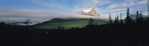 Framed Silhouette of trees with a mountain in the background, Canadian Rockies, Alberta, Canada Print