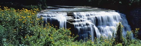 Framed Waterfall in a park, Middle Falls, Genesee, Letchworth State Park, New York State, USA Print