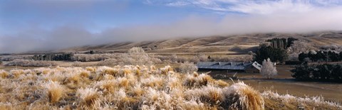 Framed Barn in a field, Morven Hills Station, Otago, New Zealand Print