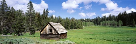 Framed Log cabin in a field, Klamath National Forest, California, USA Print