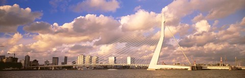 Framed Netherlands, Holland, Rotterdam, Erasmus Bridge Print