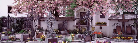 Framed Flowers on tombstones, Tirol, Austria Print