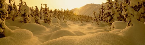 Framed Sunset, Turnagain Pass, Alaska, USA Print