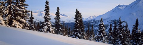 Framed Winter Chugach Mountains AK Print