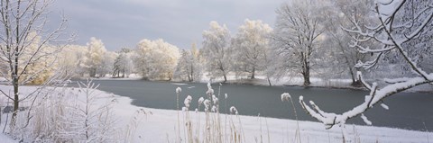Framed Lake Schubelweiher Kusnacht Switzerland Print