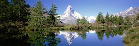 Framed Reflection of trees and mountain in a lake, Matterhorn, Switzerland Print