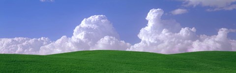 Framed USA, Washington, Palouse, wheat and clouds Print