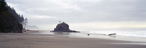 Framed Coast La Push Olympic National Park WA Print