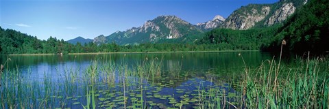 Framed Alpsee Bavaria Germany Print