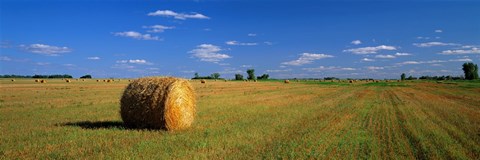 Framed Hay Bales, South Dakota, USA Print