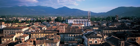 Framed Italy, Tuscany, Lucca Print